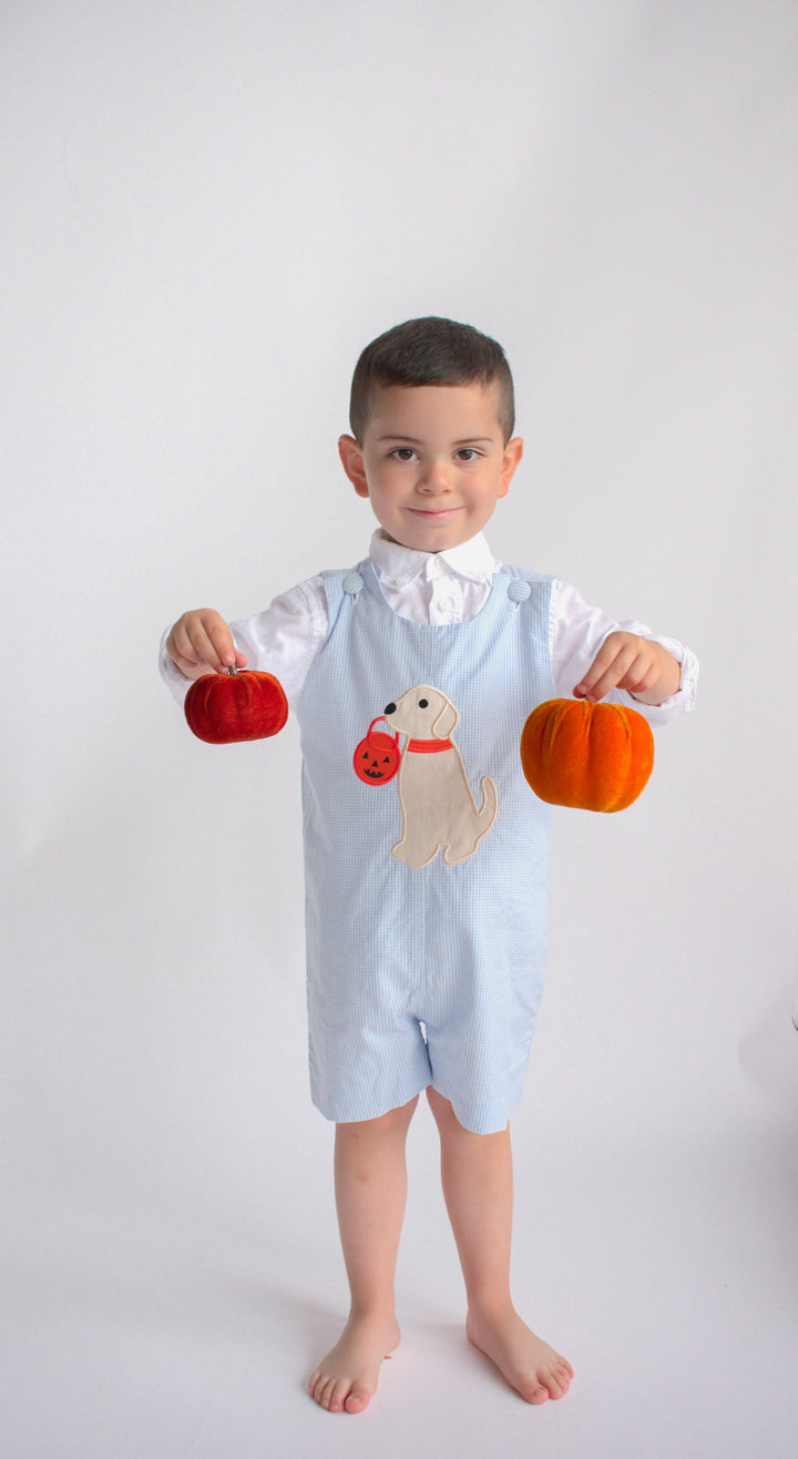 Trick or Treat Puppy Applique Shortall