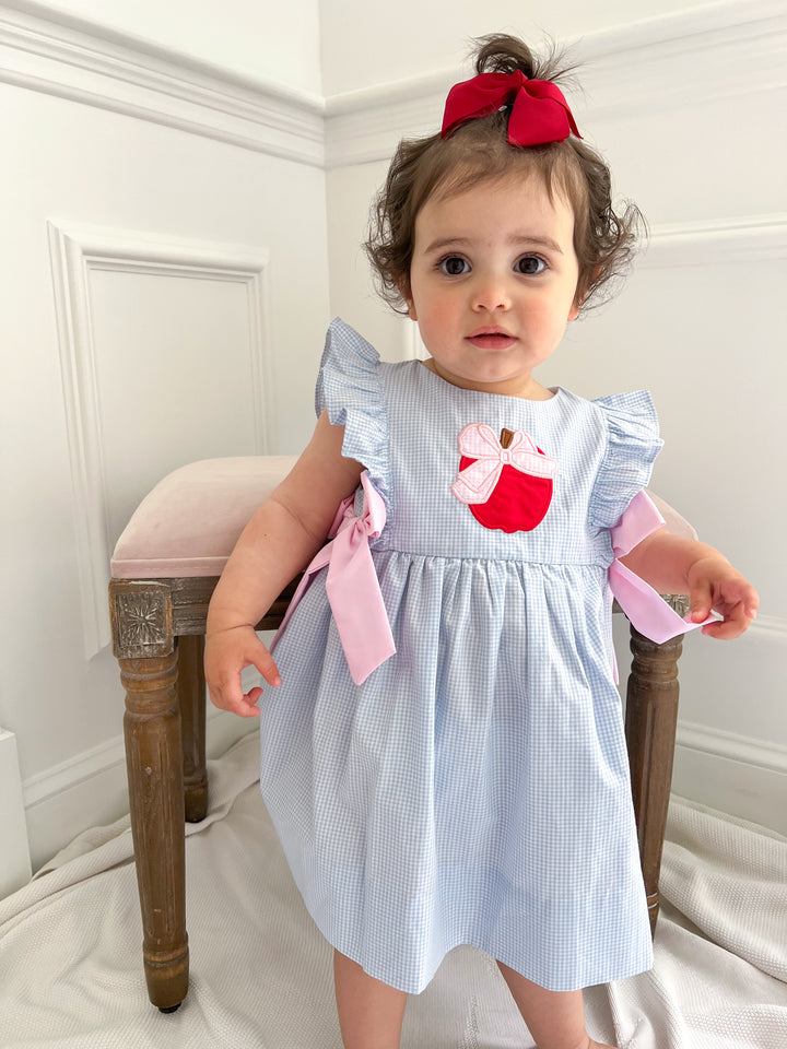 Blue Gingham Apple Back-to-School Dress