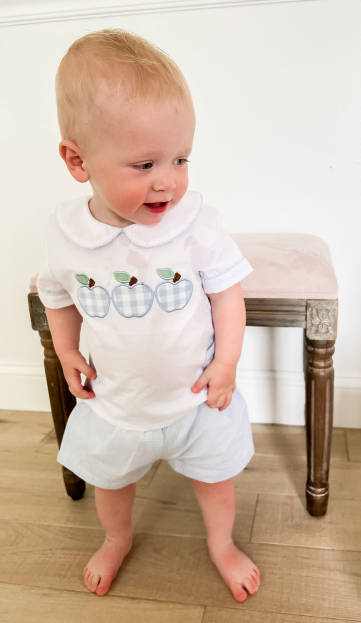 Blue Gingham Apple Boys Short Set