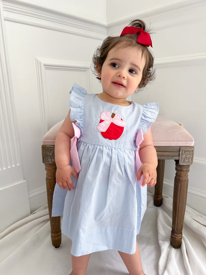 Blue Gingham Apple Back-to-School Dress