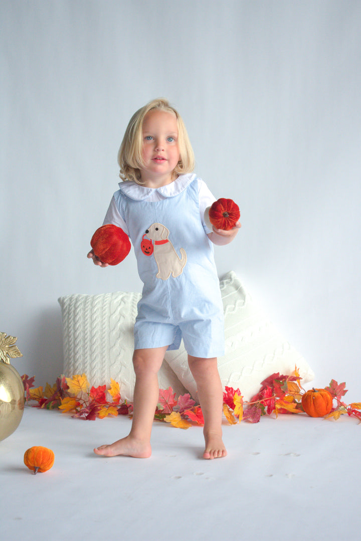 Trick or Treat Puppy Applique Shortall