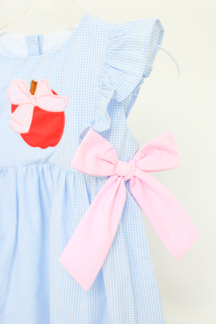 Blue Gingham Apple Back-to-School Dress