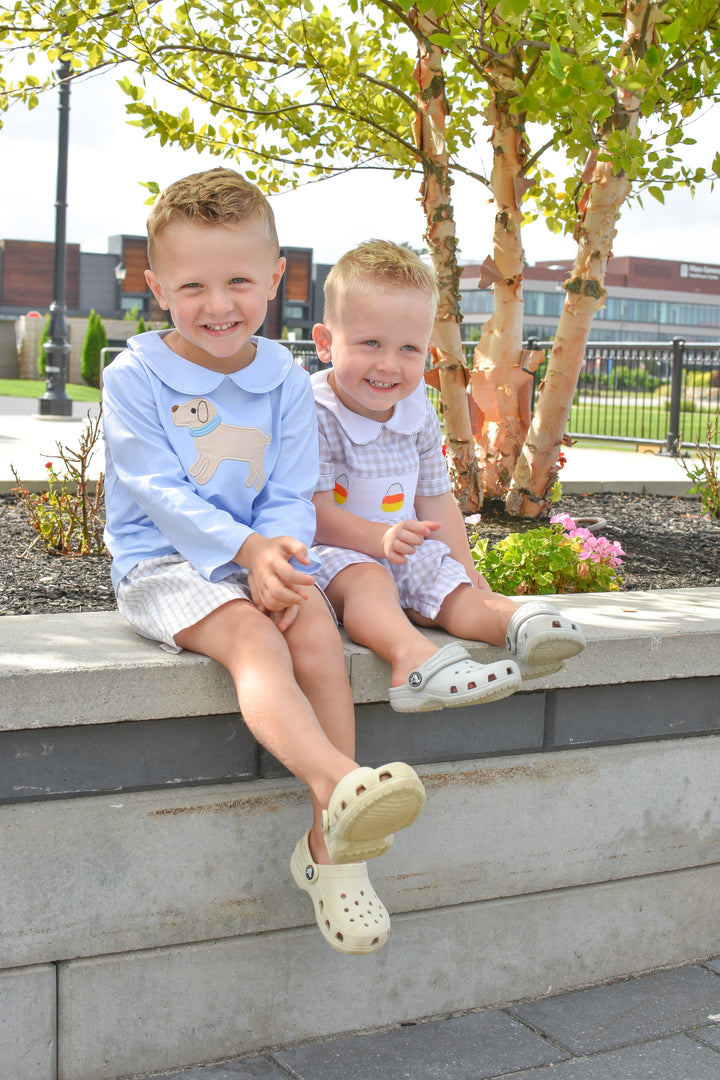 Boys Puppy Applique Shirt & Gingham Shorts Set
