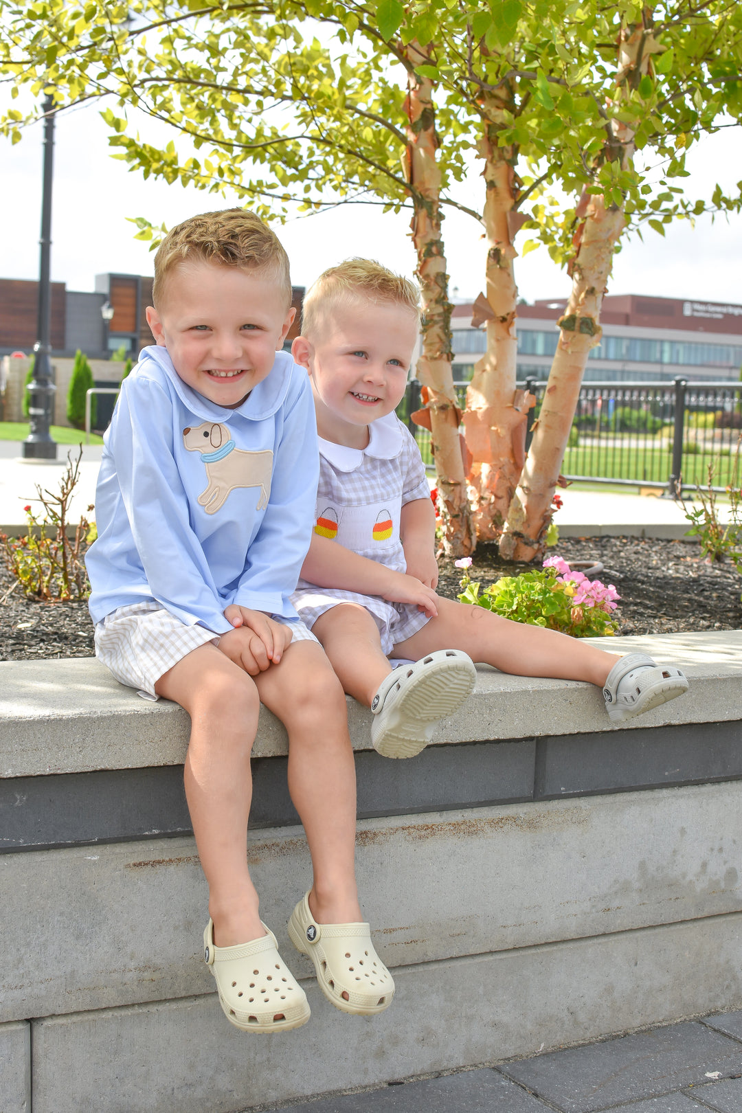 Boys Puppy Applique Shirt & Gingham Shorts Set