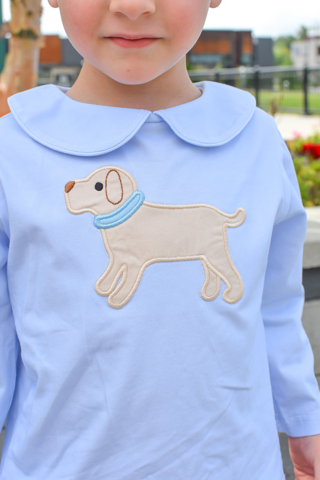 Boys Puppy Applique Shirt & Gingham Shorts Set