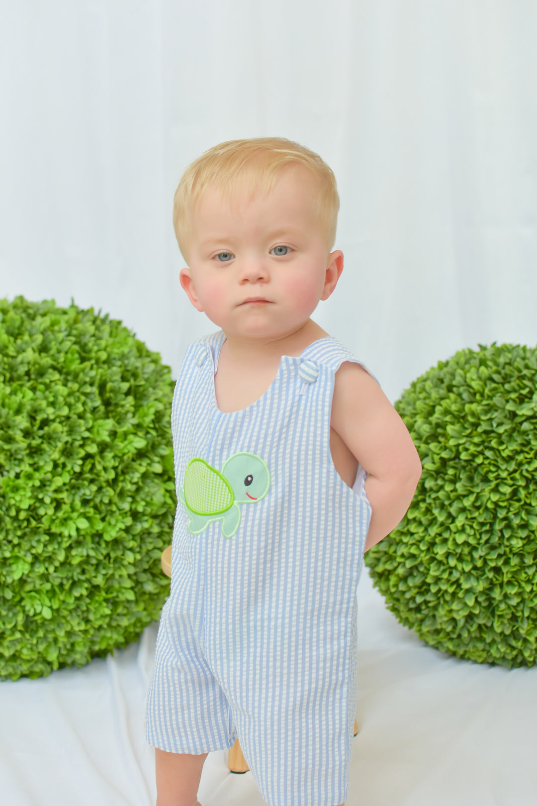 Blue Seersucker Turtle Applique Shortall