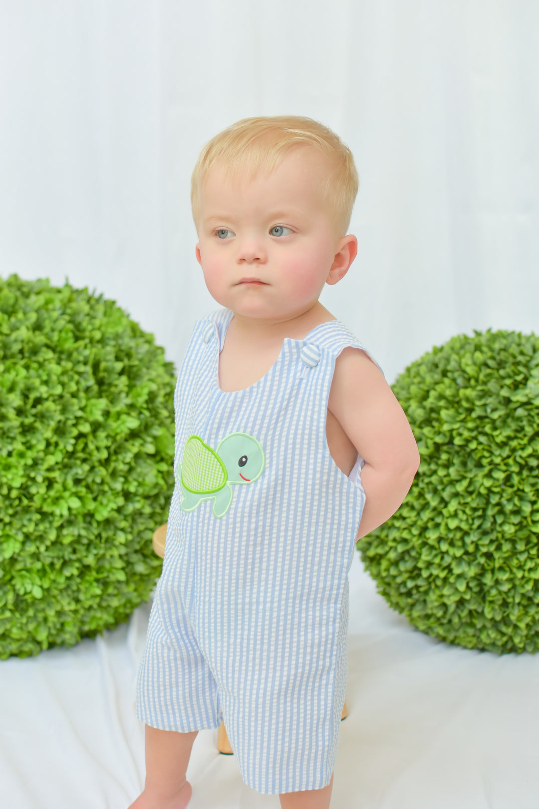 Blue Seersucker Turtle Applique Shortall