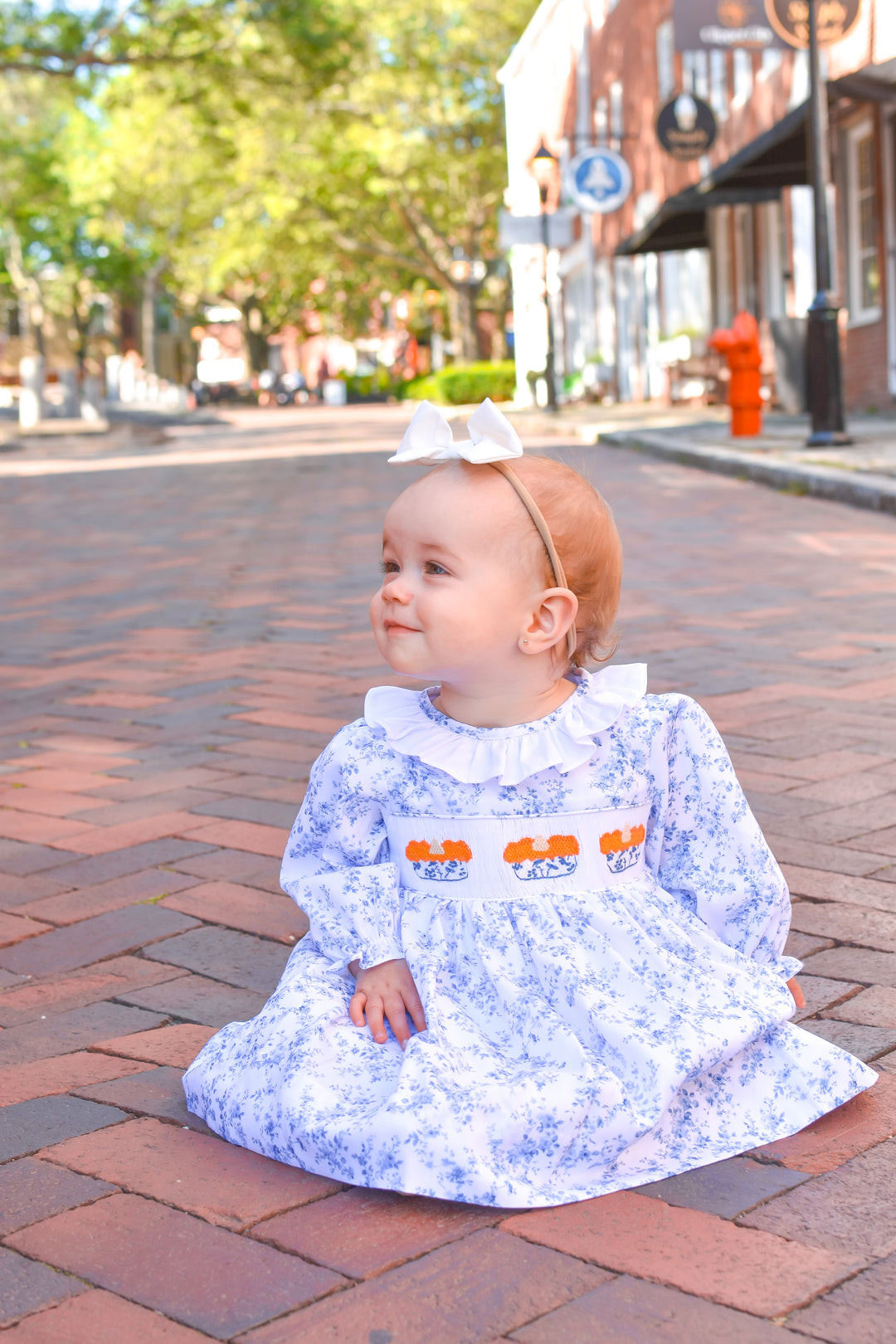 PRE-ORDER Girls Blue Toile Smocked Pumpkin Pie Dress