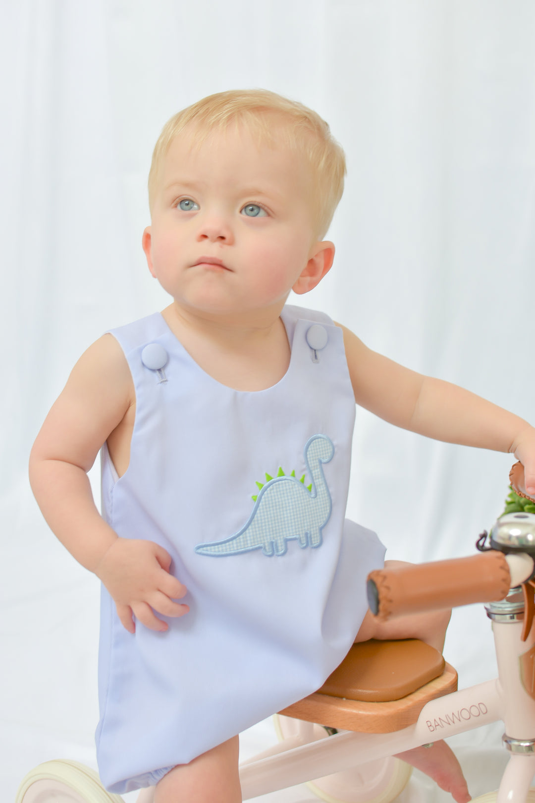 Dinosaur Applique Boy Bubble