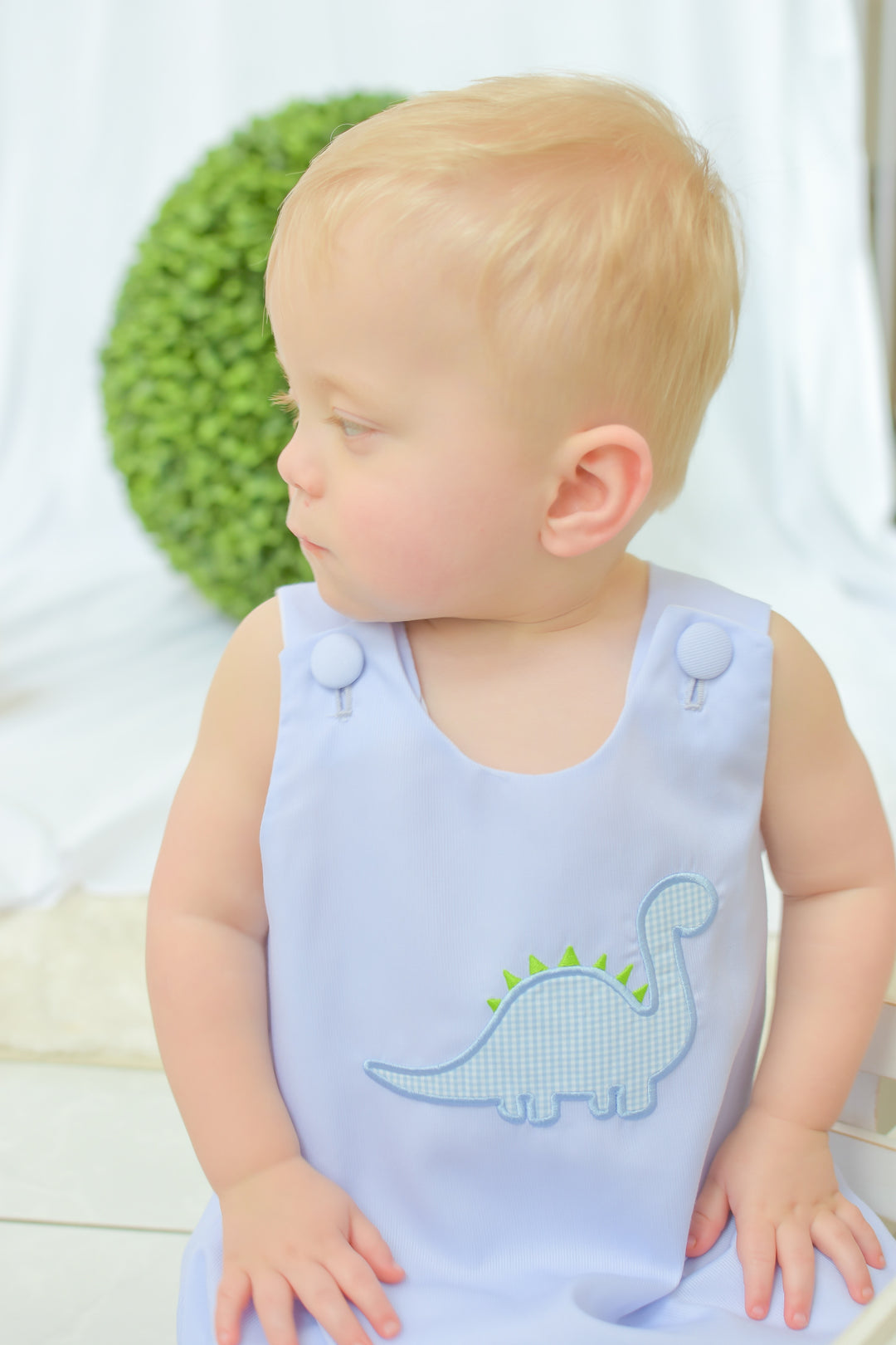 Dinosaur Applique Boy Bubble