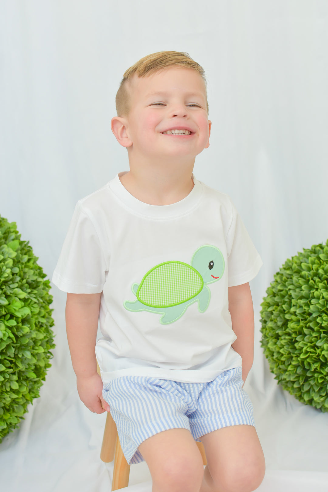 Boys Turtle Applique Smocked Short Set